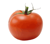 Fresh Red Onion